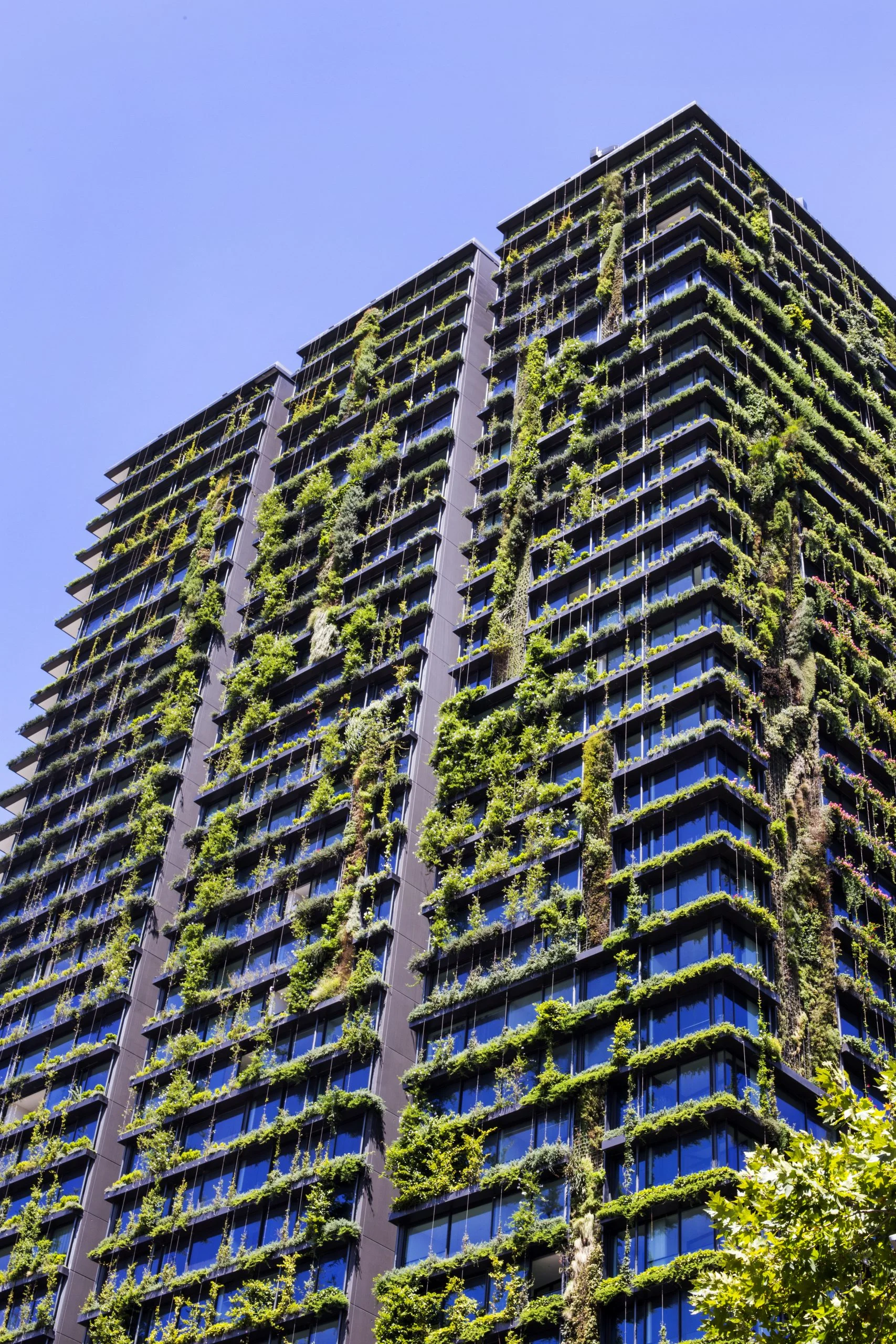 sustainable esg